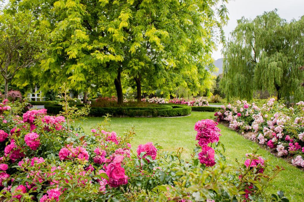 Lakeside Cottage Luxury B&B Mont Dandenong Extérieur photo