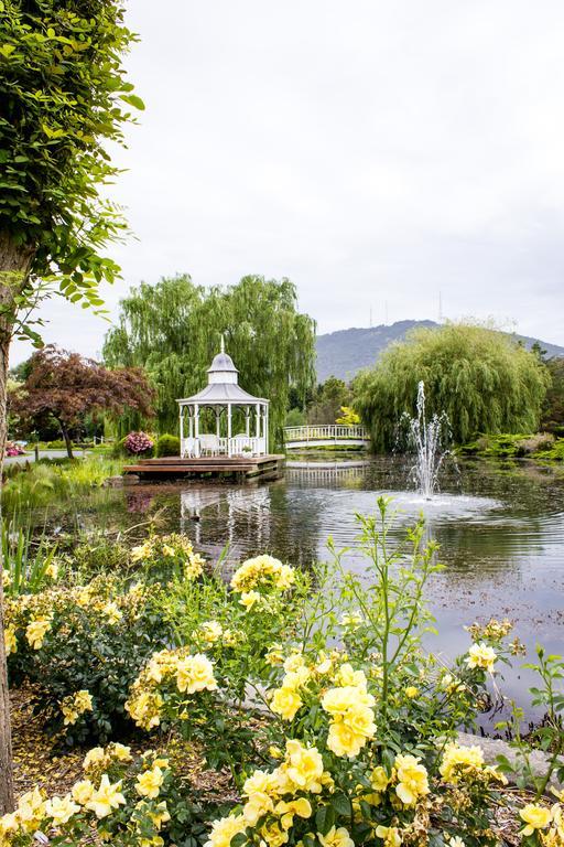 Lakeside Cottage Luxury B&B Mont Dandenong Extérieur photo