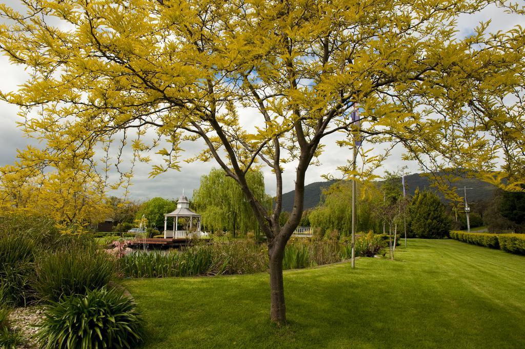 Lakeside Cottage Luxury B&B Mont Dandenong Extérieur photo