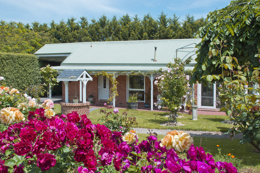 Lakeside Cottage Luxury B&B Mont Dandenong Extérieur photo
