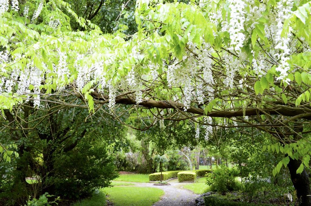 Lakeside Cottage Luxury B&B Mont Dandenong Extérieur photo