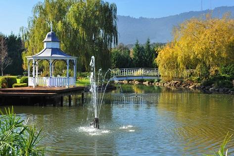 Lakeside Cottage Luxury B&B Mont Dandenong Extérieur photo